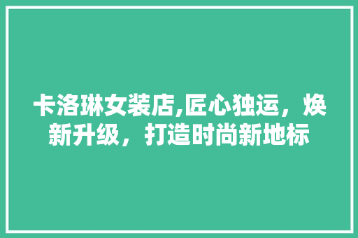 卡洛琳女装店,匠心独运，焕新升级，打造时尚新地标 工艺流程