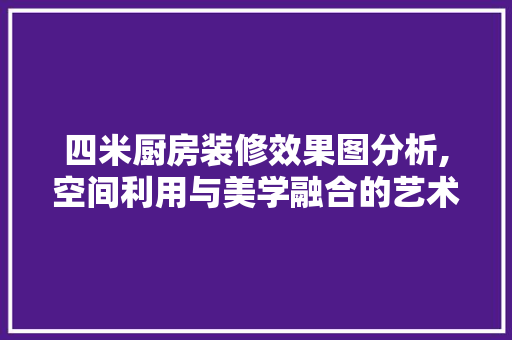 四米厨房装修效果图分析,空间利用与美学融合的艺术 设计原则