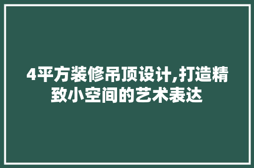 4平方装修吊顶设计,打造精致小空间的艺术表达 常用设备