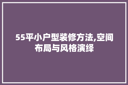 55平小户型装修方法,空间布局与风格演绎 建筑设计
