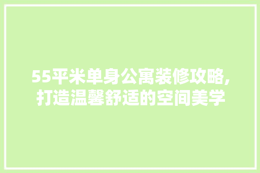 55平米单身公寓装修攻略,打造温馨舒适的空间美学 设计原则