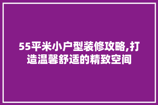 55平米小户型装修攻略,打造温馨舒适的精致空间 建筑法规