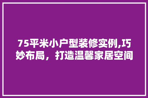 75平米小户型装修实例,巧妙布局，打造温馨家居空间 建筑设计