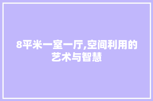 8平米一室一厅,空间利用的艺术与智慧 施工工艺