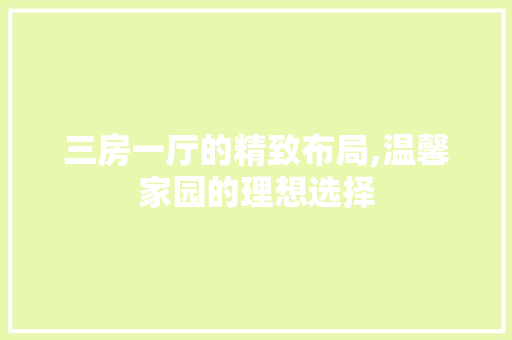 三房一厅的精致布局,温馨家园的理想选择 工艺流程