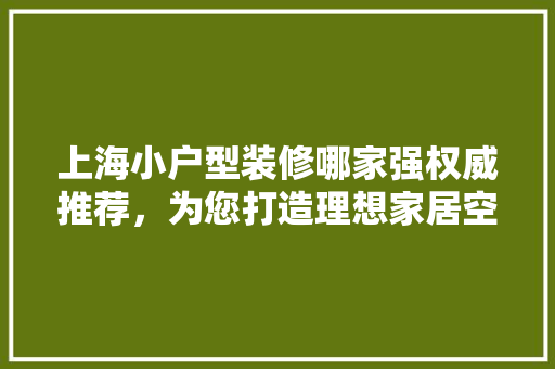 上海小户型装修哪家强权威推荐，为您打造理想家居空间 施工管理