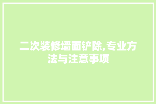 二次装修墙面铲除,专业方法与注意事项 材料设备
