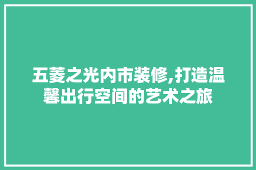 五菱之光内市装修,打造温馨出行空间的艺术之旅 工艺流程