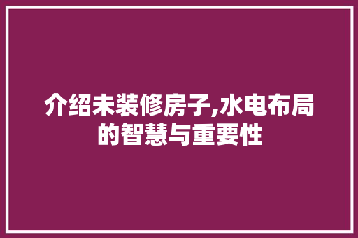 介绍未装修房子,水电布局的智慧与重要性 材料设备