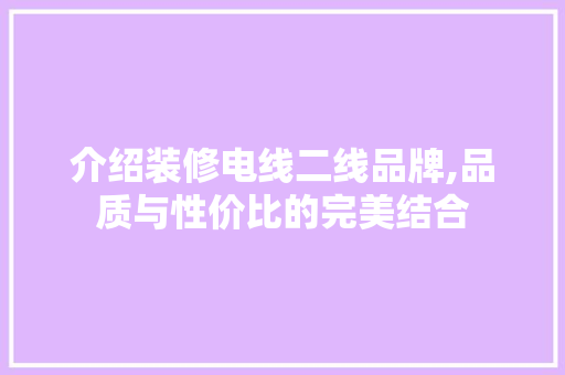 介绍装修电线二线品牌,品质与性价比的完美结合 工艺流程