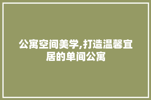 公寓空间美学,打造温馨宜居的单间公寓 施工工艺