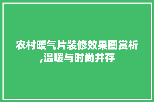 农村暖气片装修效果图赏析,温暖与时尚并存 施工技术