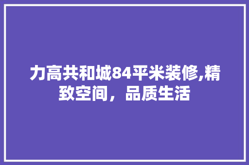 力高共和城84平米装修,精致空间，品质生活 施工技术