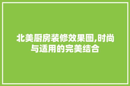 北美厨房装修效果图,时尚与适用的完美结合 工艺流程