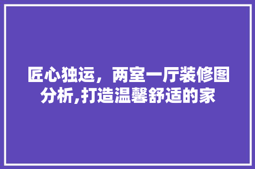 匠心独运，两室一厅装修图分析,打造温馨舒适的家 常见问题