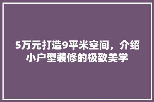 5万元打造9平米空间，介绍小户型装修的极致美学 工艺流程