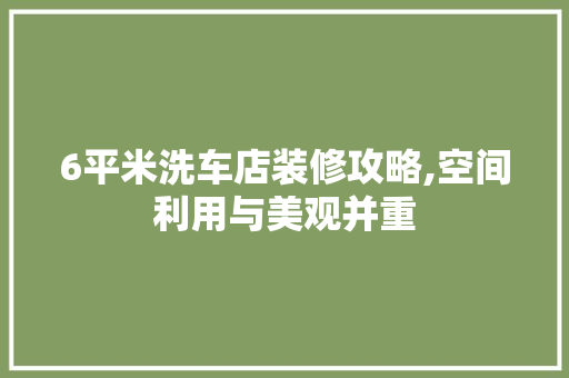 6平米洗车店装修攻略,空间利用与美观并重 施工工艺