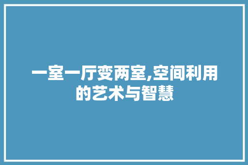 一室一厅变两室,空间利用的艺术与智慧 公共建筑设计