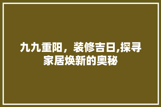 九九重阳，装修吉日,探寻家居焕新的奥秘 施工技术