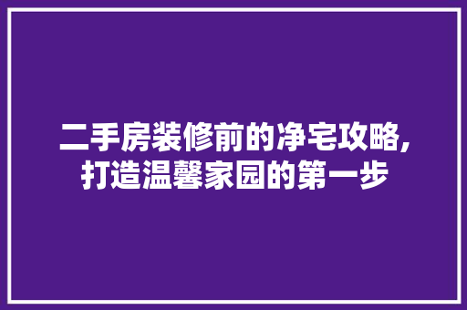 二手房装修前的净宅攻略,打造温馨家园的第一步 施工工艺