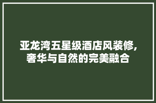 亚龙湾五星级酒店风装修,奢华与自然的完美融合 施工管理