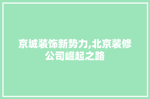 京城装饰新势力,北京装修公司崛起之路 施工工艺