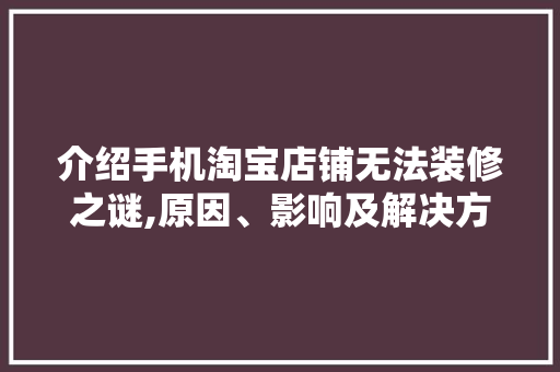 介绍手机淘宝店铺无法装修之谜,原因、影响及解决方法 设计原则