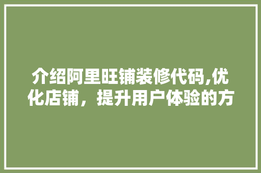 介绍阿里旺铺装修代码,优化店铺，提升用户体验的方法 设计原则