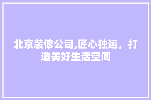 北京装修公司,匠心独运，打造美好生活空间 施工技术