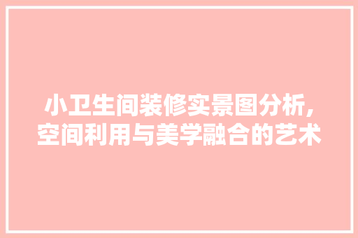 小卫生间装修实景图分析,空间利用与美学融合的艺术 设计原则