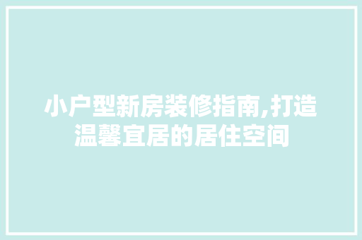 小户型新房装修指南,打造温馨宜居的居住空间 工艺流程