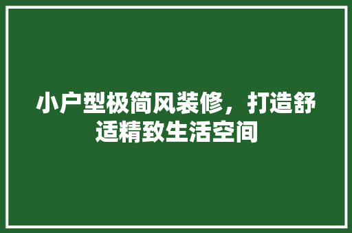 小户型极简风装修，打造舒适精致生活空间 新型材料