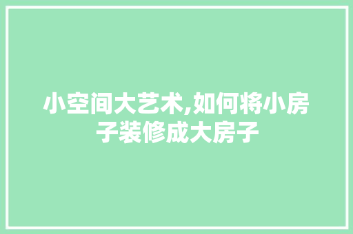 小空间大艺术,如何将小房子装修成大房子 施工管理