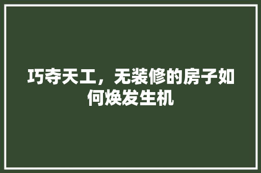 巧夺天工，无装修的房子如何焕发生机 施工技术