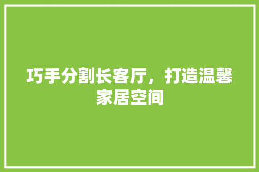 巧手分割长客厅，打造温馨家居空间 常用设备