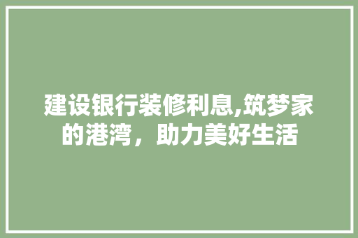 建设银行装修利息,筑梦家的港湾，助力美好生活 施工工艺