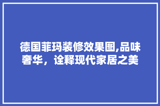 德国菲玛装修效果图,品味奢华，诠释现代家居之美 施工管理