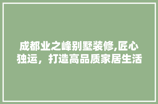 成都业之峰别墅装修,匠心独运，打造高品质家居生活 公共建筑设计