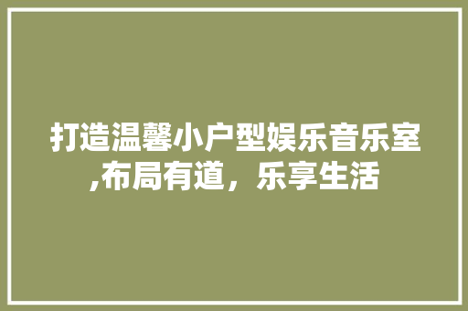 打造温馨小户型娱乐音乐室,布局有道，乐享生活 住宅建筑设计