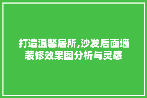 打造温馨居所,沙发后面墙装修效果图分析与灵感 施工管理