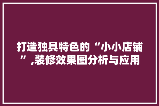 打造独具特色的“小小店铺”,装修效果图分析与应用 施工工艺
