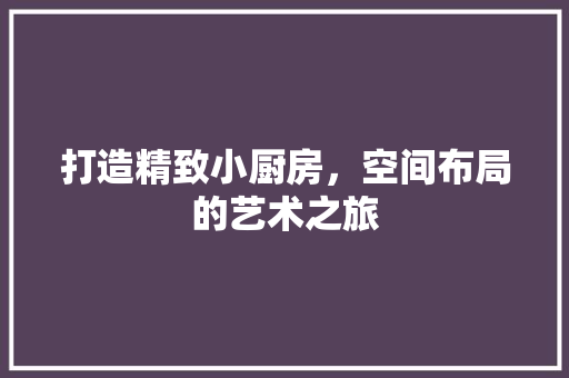 打造精致小厨房，空间布局的艺术之旅