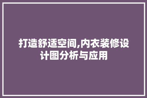 打造舒适空间,内衣装修设计图分析与应用 施工管理