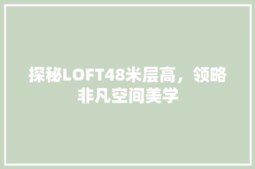 探秘LOFT48米层高，领略非凡空间美学 施工管理