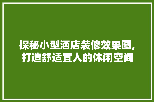 探秘小型洒店装修效果图,打造舒适宜人的休闲空间 常用设备