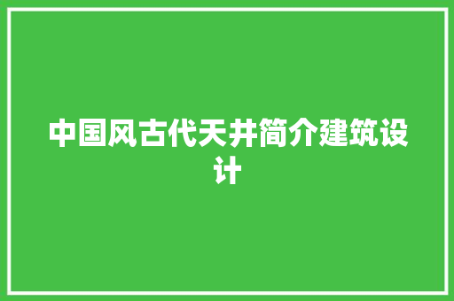 中国风古代天井简介建筑设计 新型材料