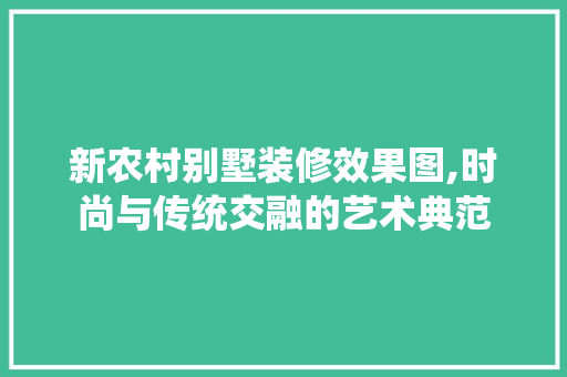 新农村别墅装修效果图,时尚与传统交融的艺术典范 施工技术