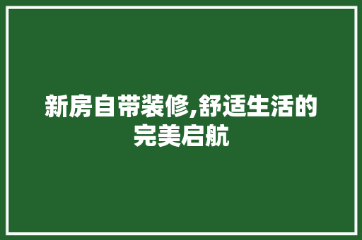 新房自带装修,舒适生活的完美启航 工艺流程
