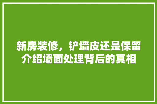 新房装修，铲墙皮还是保留介绍墙面处理背后的真相 生态建筑设计
