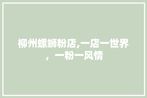柳州螺蛳粉店,一店一世界，一粉一风情 建筑设计